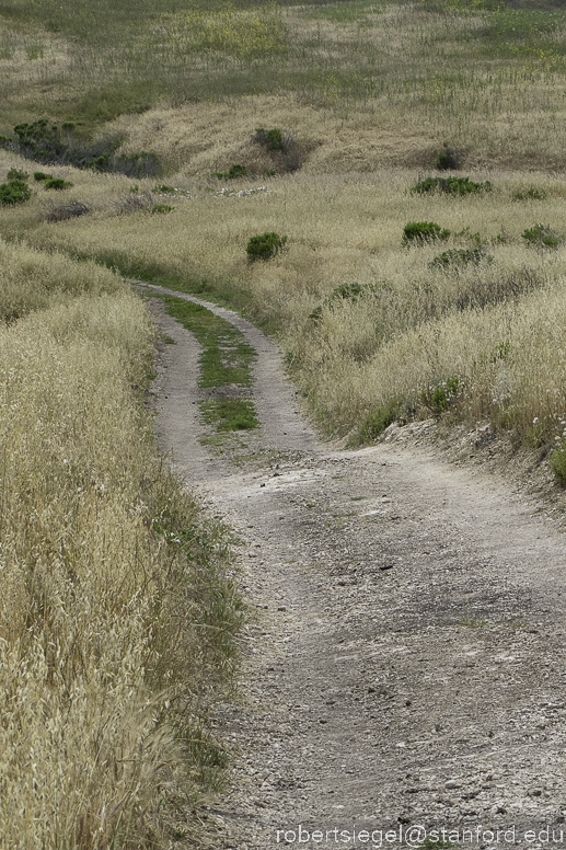 Channel Islands